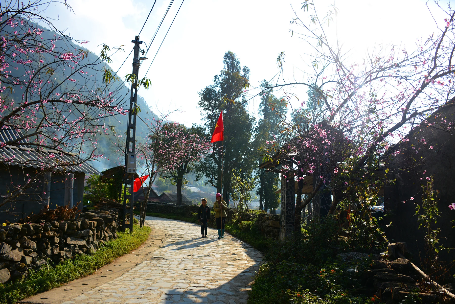 Stone lane between traditional Red Dao houses in Sì Thâu Chải village, Lai Châu