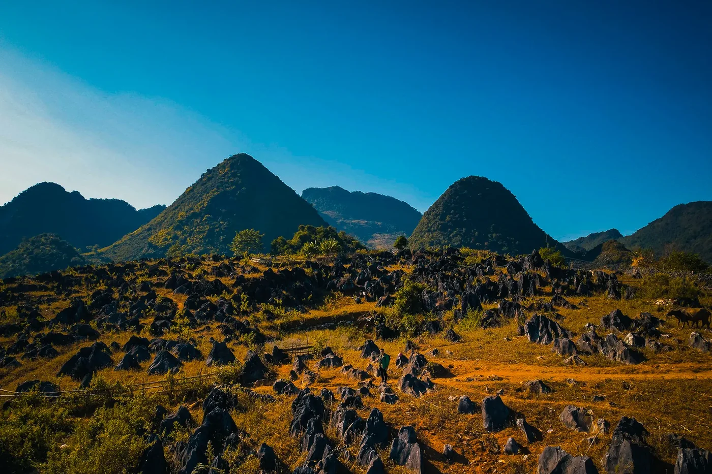 The bare limestone stone plateau of Tủa Chùa in Điện Biên province