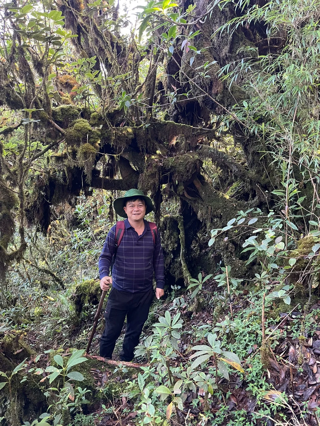The author standing beneath a giant moss-covered ancient tree in Putaleng's old-growth forest