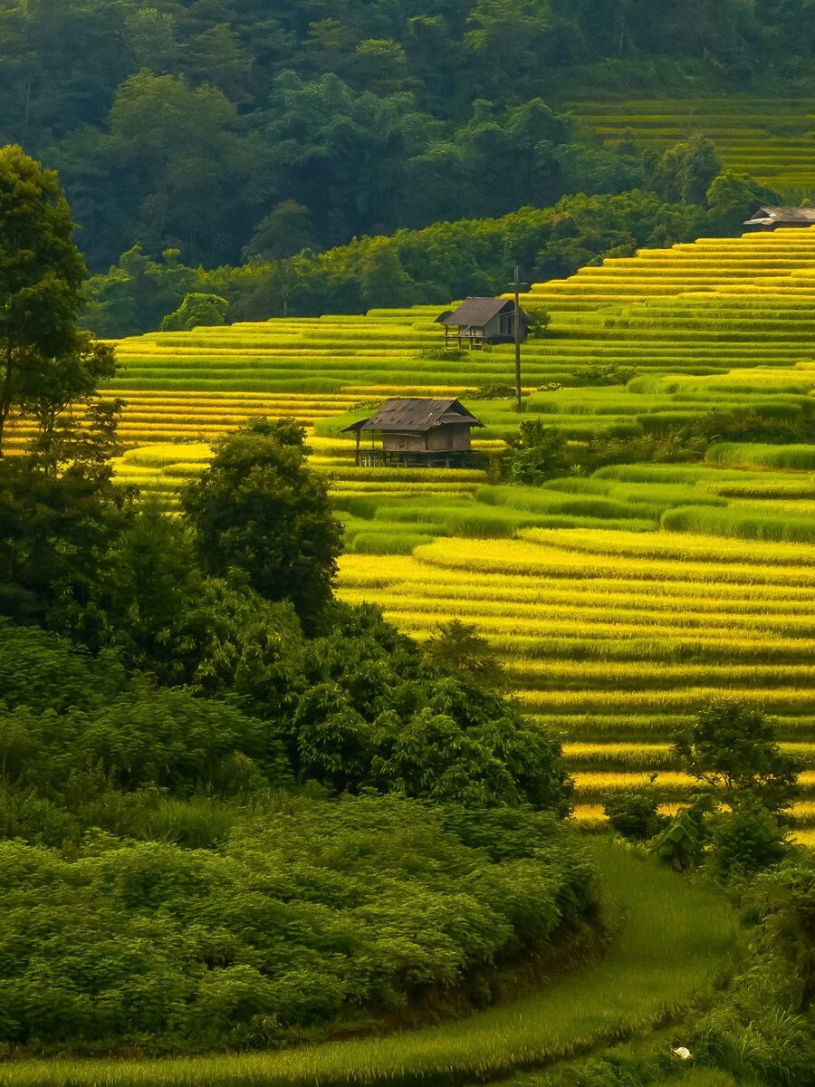 Nam Cang