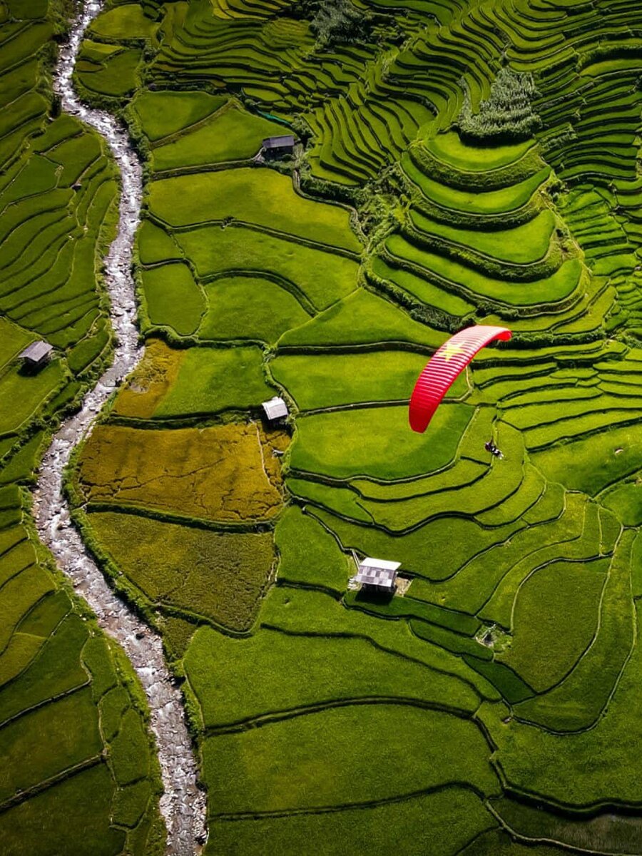 Mường Hoa Valley - Sapa