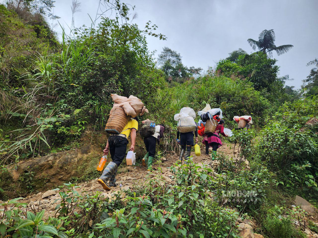 Local porters carrying gear on a northwest Vietnam trek