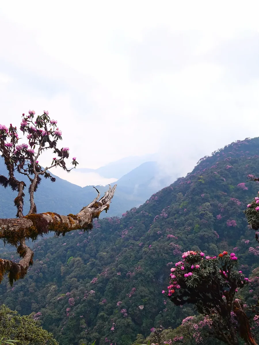 Putaleng (3,049m)