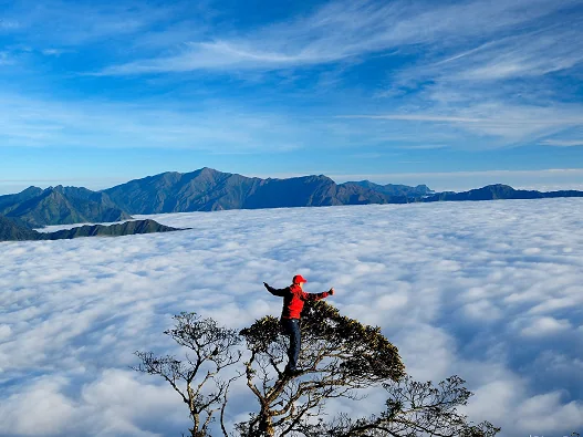 Best Time to Trek Northern Vietnam (Rainy Season Guide)