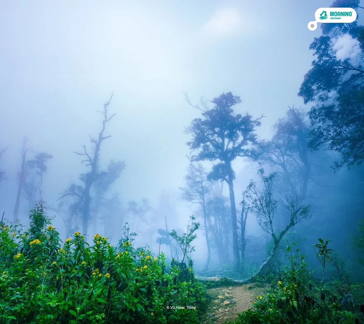 Fansipan — descent through the cloud forest