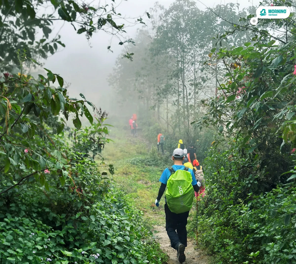 Fansipan — alpine zone above 2,500m