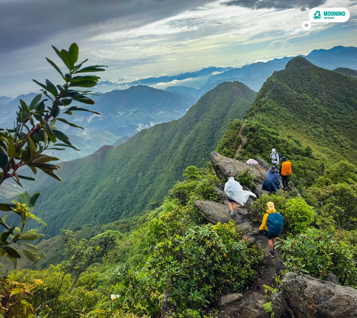 Fansipan — Only Trekking