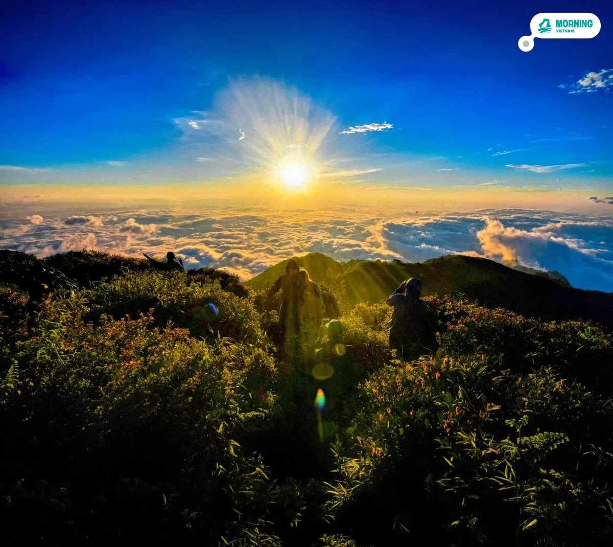 Fansipan — reaching 3,143m, roof of Indochina