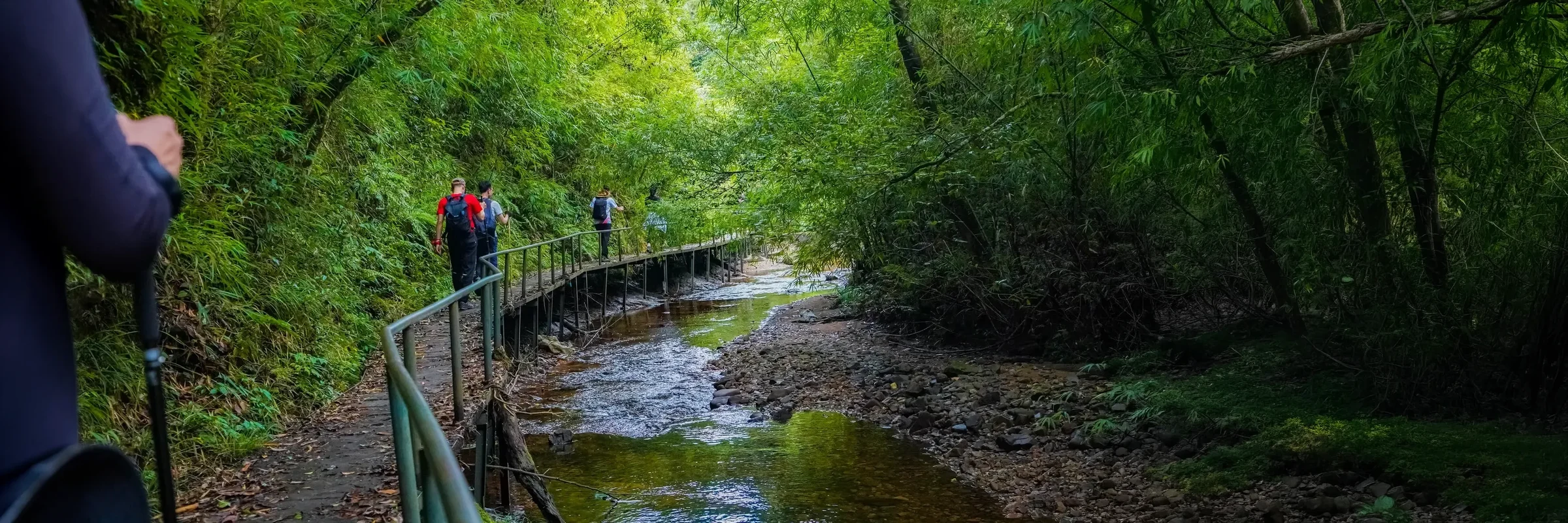 Fansipan — Only Trekking — landscape