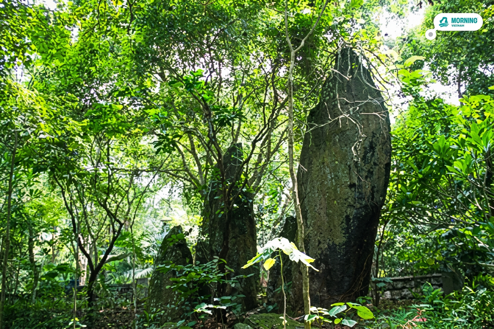Ancient standing stones in the forested grounds of the Ba Đình complex