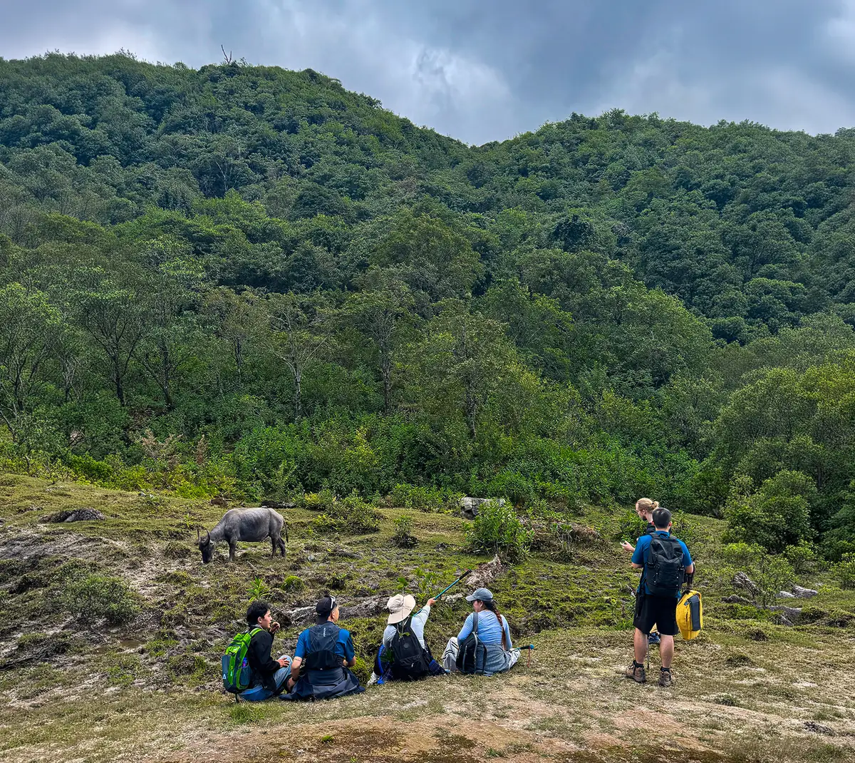 Rest stop on a grassy slope below the forest