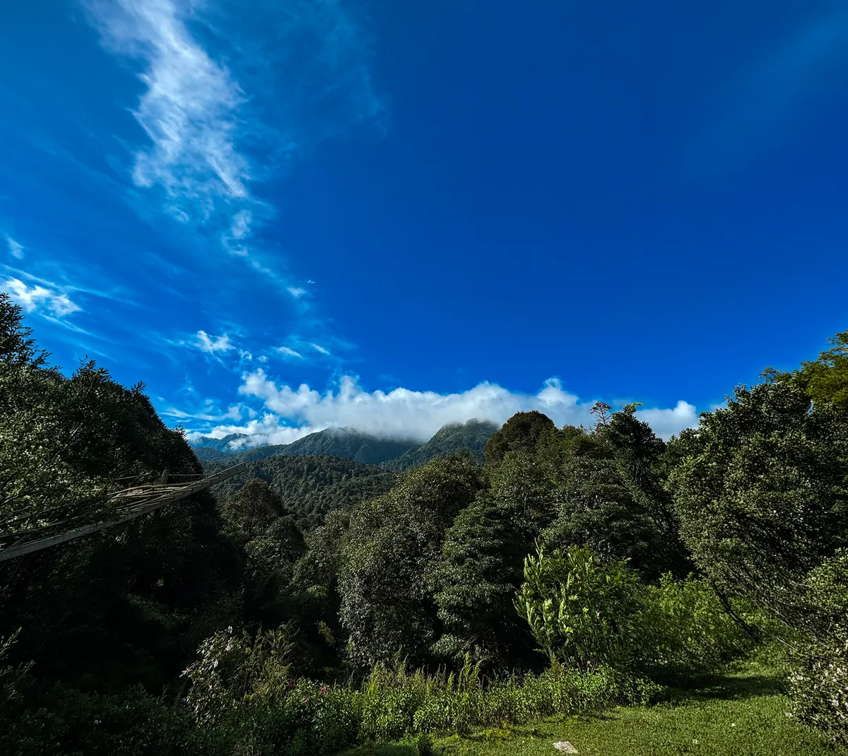 Mountain view over forested ridges