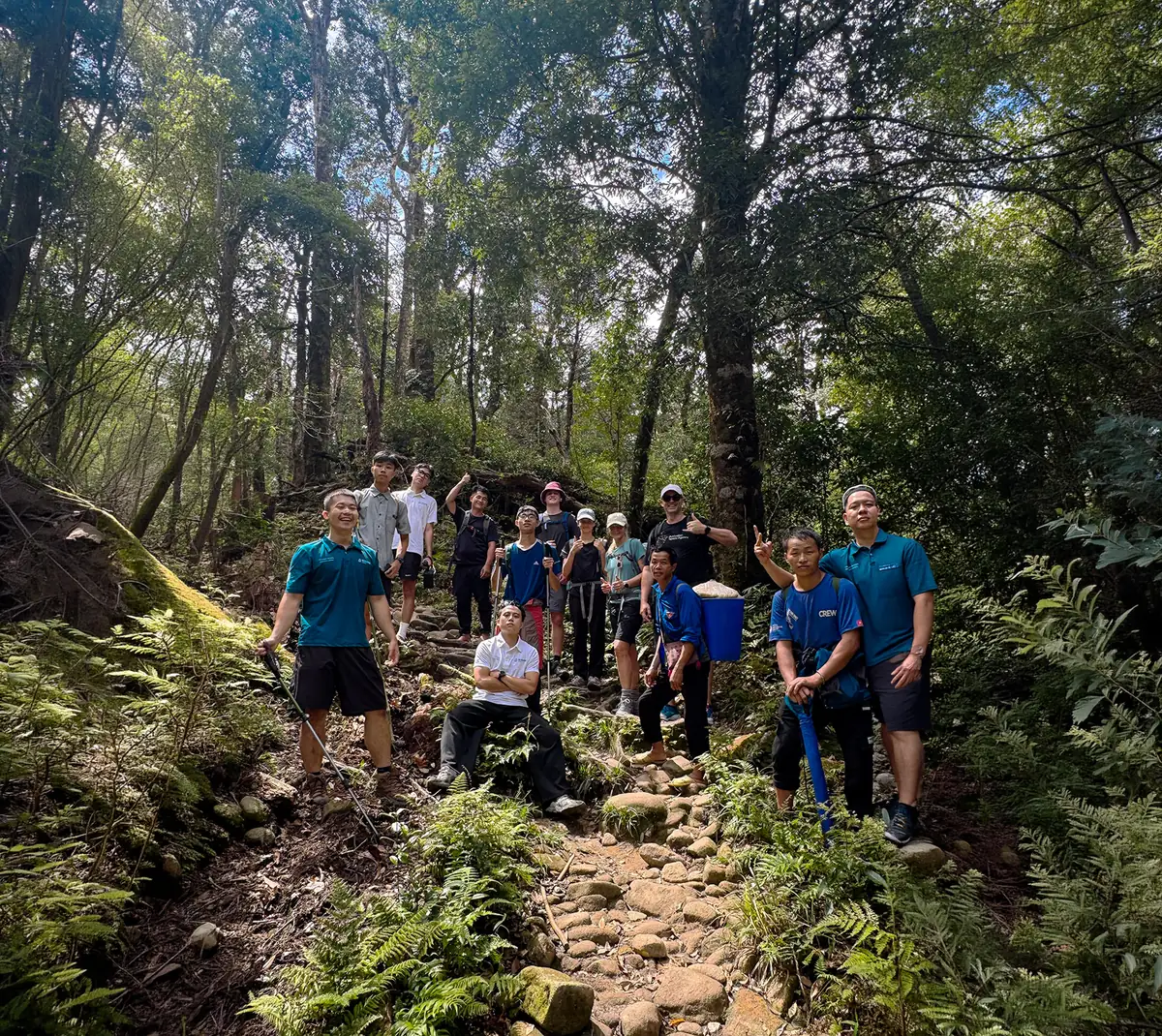 Trekking group on the rocky forest trail