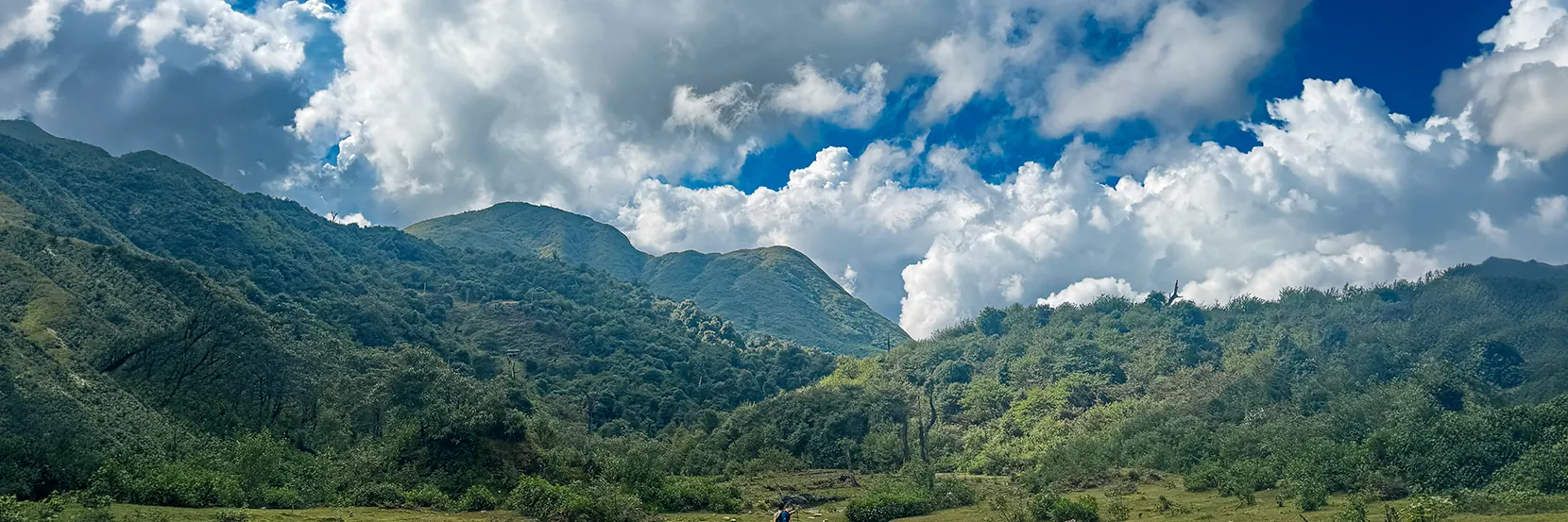 Hoàng Liên Old-Growth Forest Trek — landscape