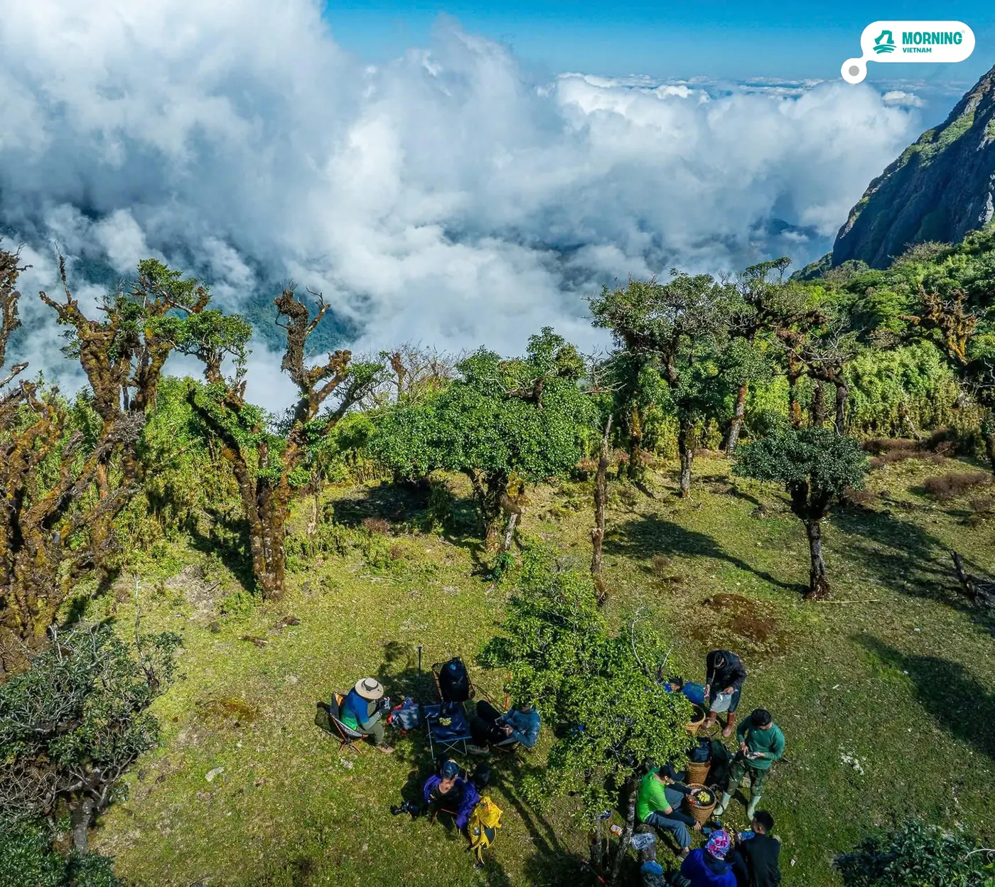 Trekkers resting among moss-covered trees above the clouds