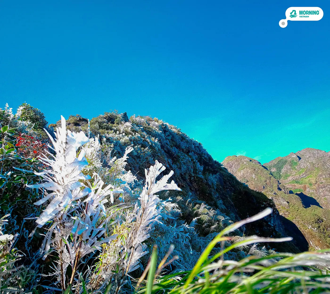 Frosted grass on a ridge under a clear sky