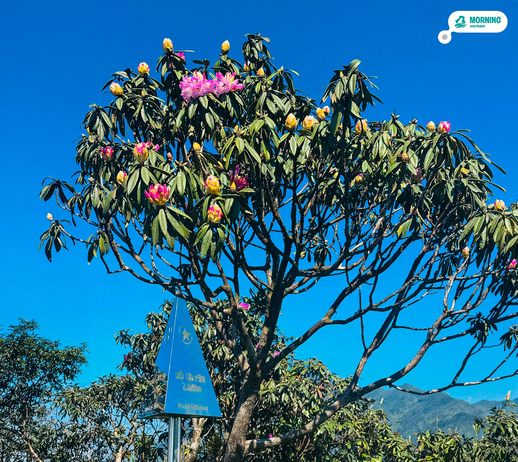 Putaleng — mountain views on the descent trail