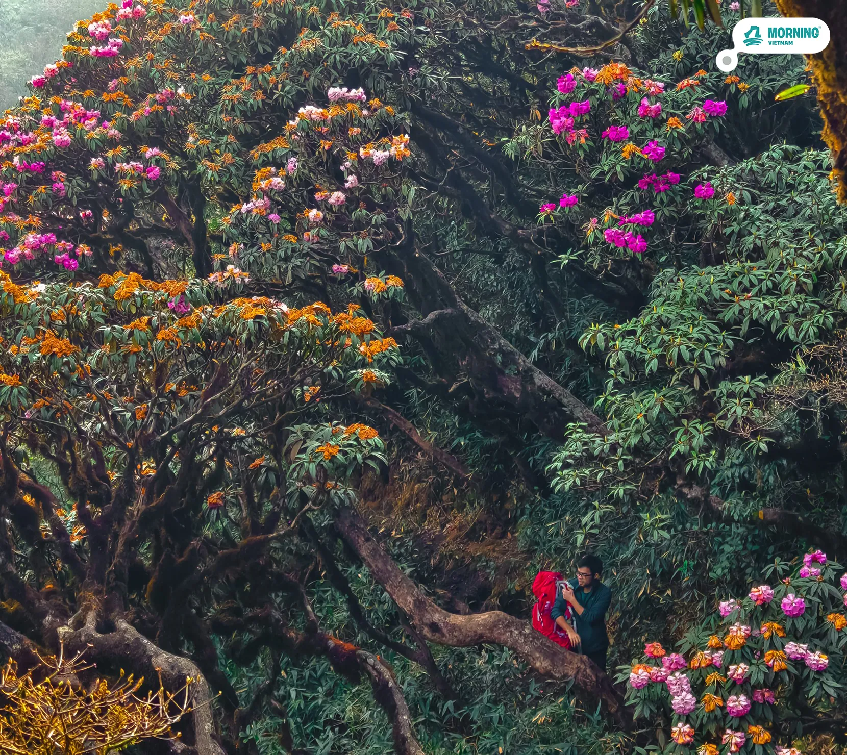 Putaleng — Only Trekking