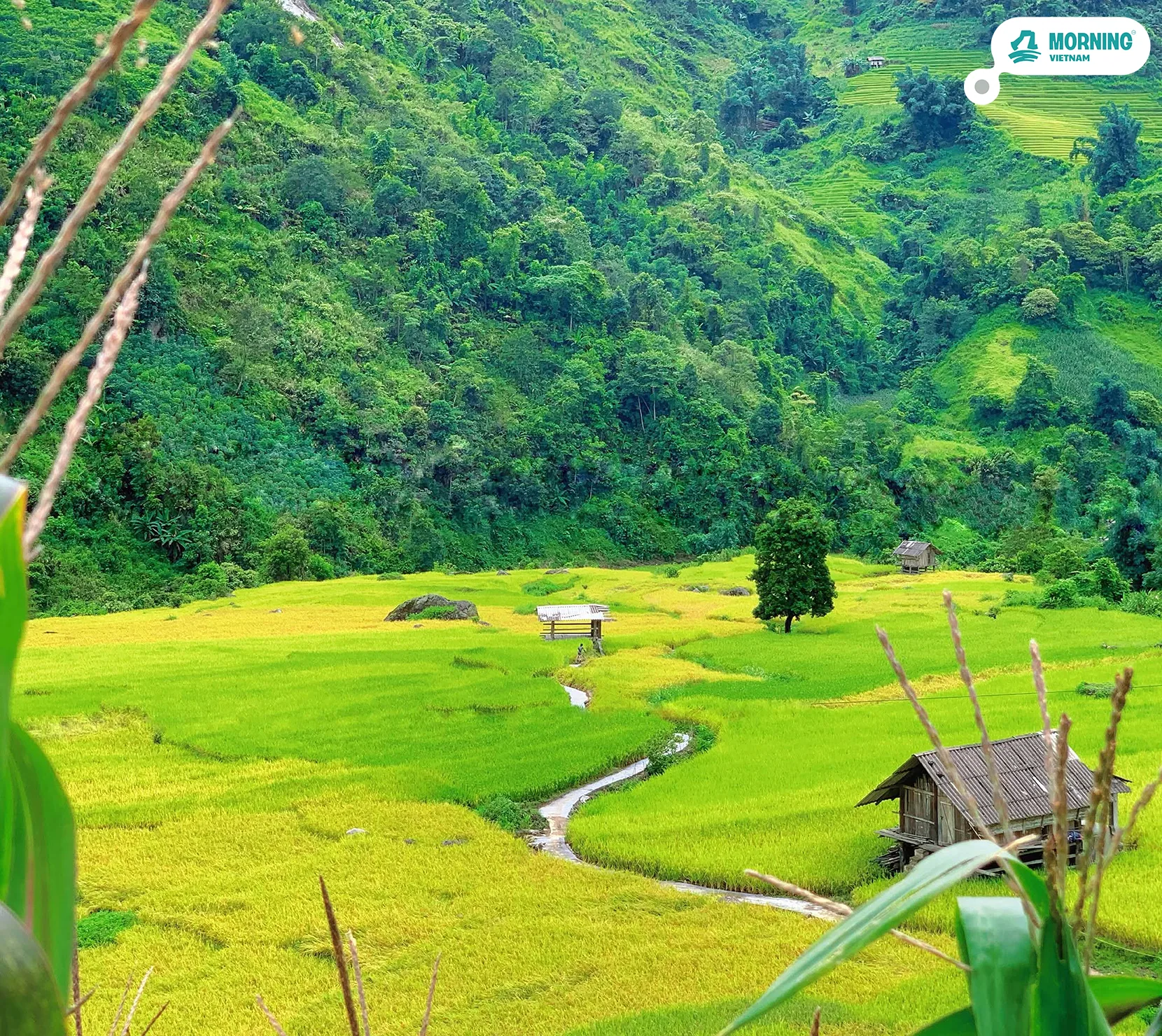 Sa Pa · Nậm Cang