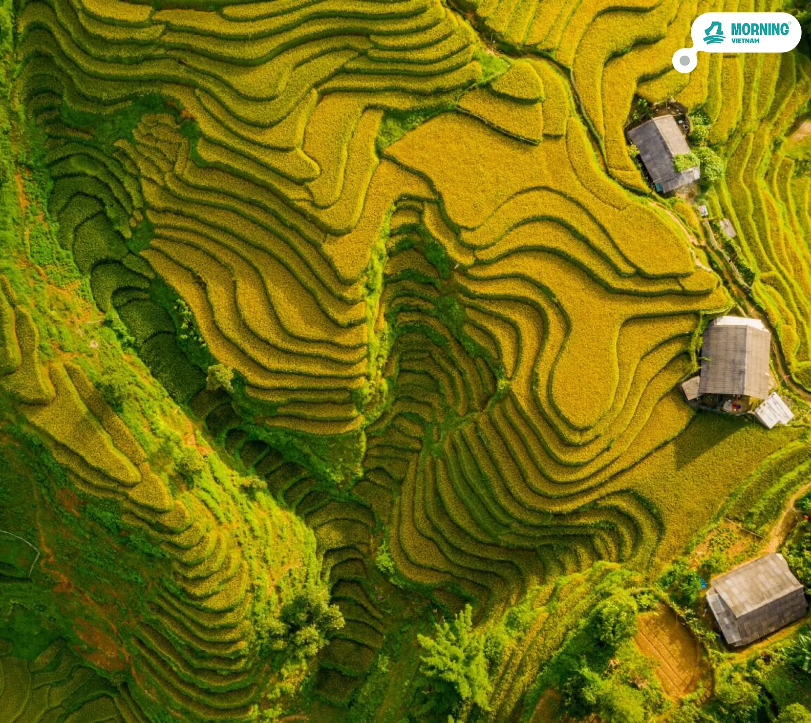Sa Pa · Nậm Cang